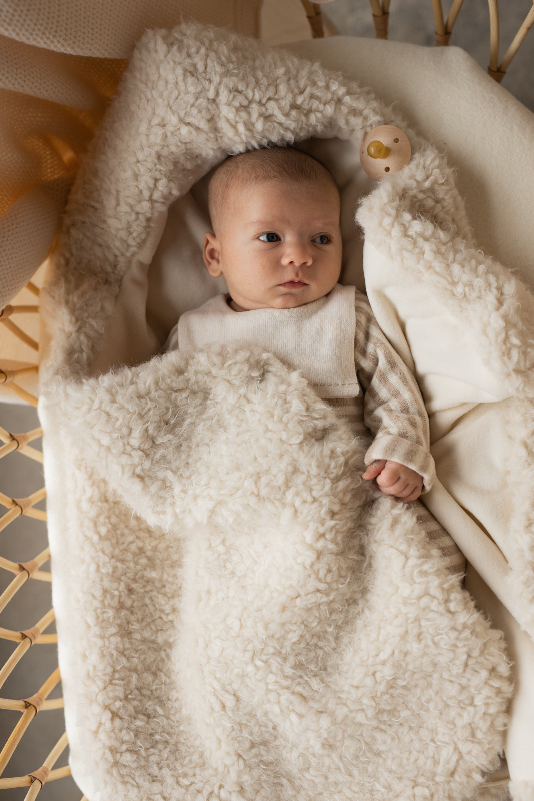 スワドル CORINA(1+in the family)