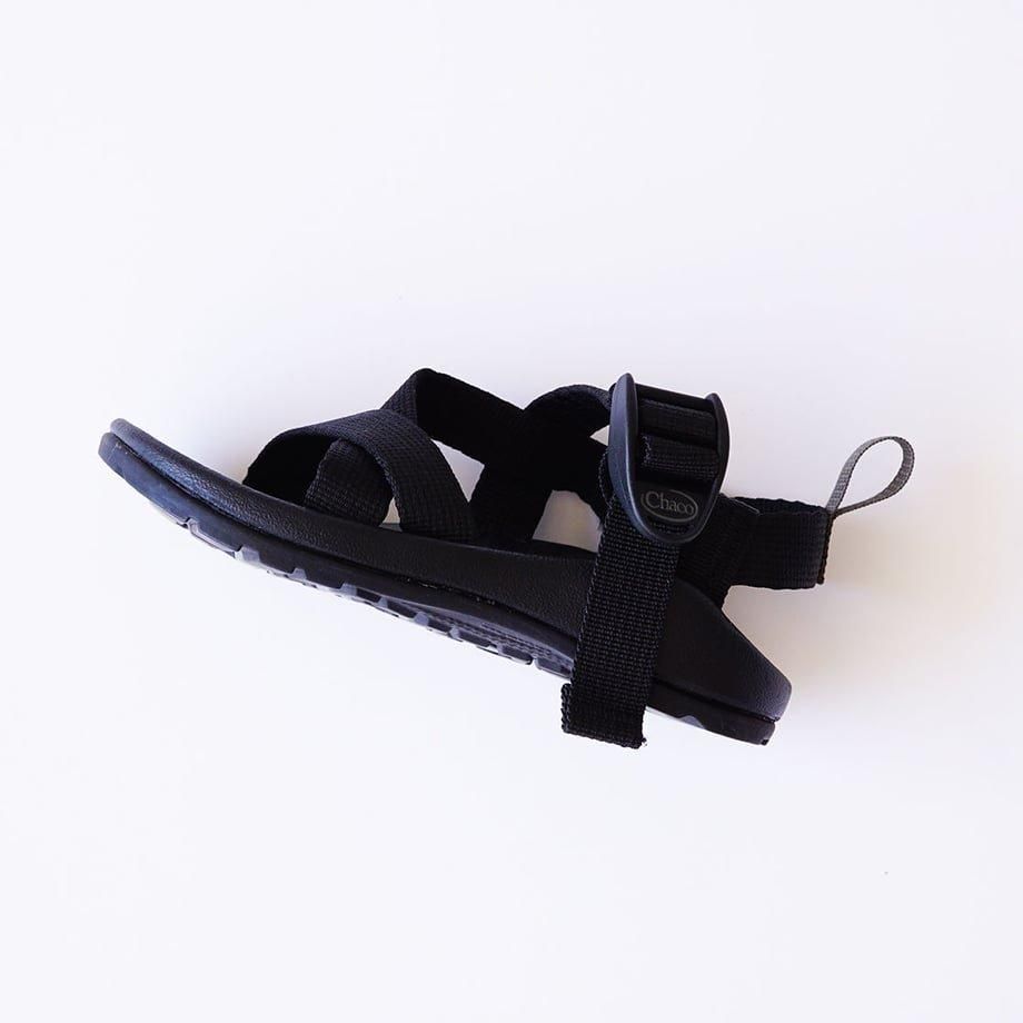 Z1 (chaco) 18～21ｃｍ