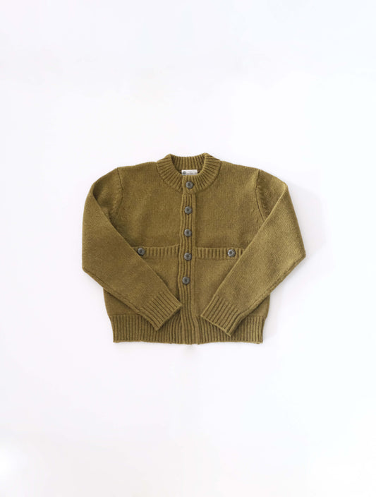 cozy cardigan (Lim home)